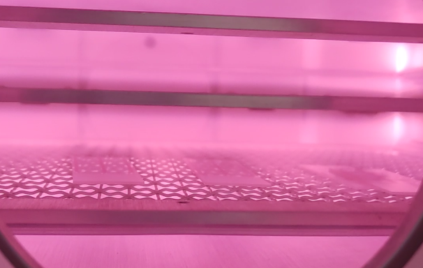 Plasma等離子清洗機(jī)