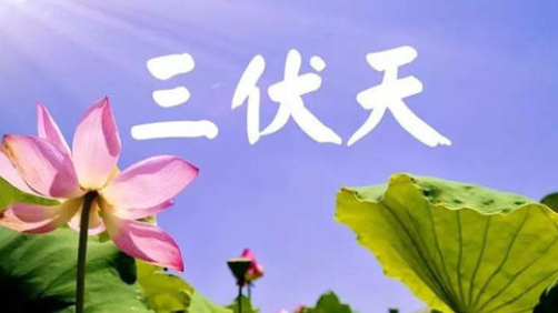 入伏,或開啟蒸煮模式-普樂斯等離子清洗機(jī)